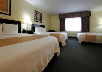 Quality Inn & Suites Anaheim At The Park hotel thumbnail 8