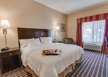 Hampton Inn & Suites Las Cruces I-25 hotel thumbnail 4