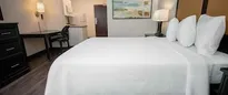 Hotel thumbnail 4