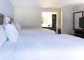 Hotel South Tampa & Suites hotel thumbnail 6