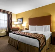 The Golden Hotel, an Ascend Collection Hotel hotel detail image 4