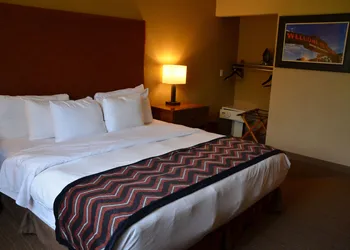 The Golden Hotel, an Ascend Collection Hotel hotel thumbnail 6