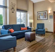 Comfort Inn & Suites Diamondale – Lansing hotel detail image 4