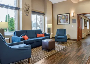 Comfort Inn & Suites Diamondale – Lansing hotel thumbnail 4