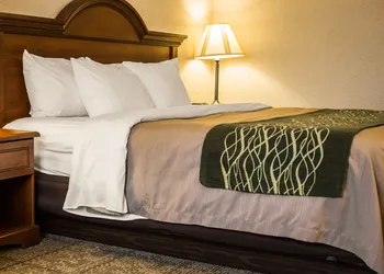 Comfort Inn & Suites Diamondale – Lansing hotel thumbnail 6