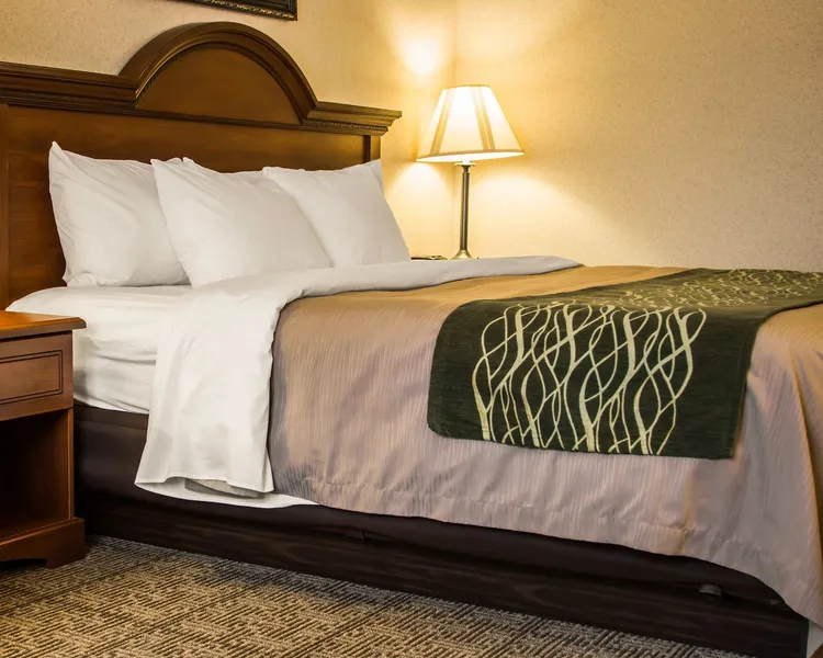 Comfort Inn & Suites Diamondale – Lansing hotel detail image 6