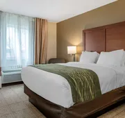 Comfort Inn & Suites Diamondale – Lansing hotel detail image 7