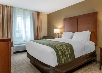 Comfort Inn & Suites Diamondale – Lansing hotel thumbnail 7