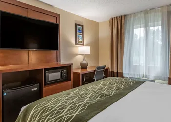 Comfort Inn & Suites Diamondale – Lansing hotel thumbnail 8