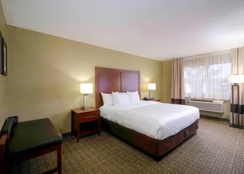 Comfort Inn Near Gila National Forest hotel thumbnail 5