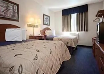 Super 8 by Wyndham Gainesville I-75 Hospital University Area hotel thumbnail 7