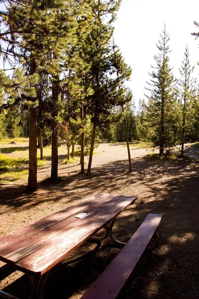 Headwaters Lodge & Cabins at Flagg Ranch hotel detail image 2