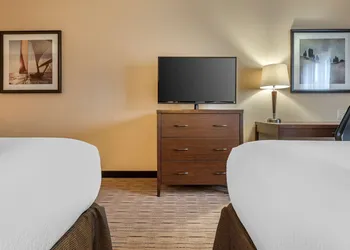 Best Western Plus Bathurst Hotel & Suites hotel thumbnail 8