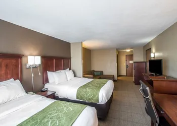 Comfort Suites Columbia - University Area hotel thumbnail 8