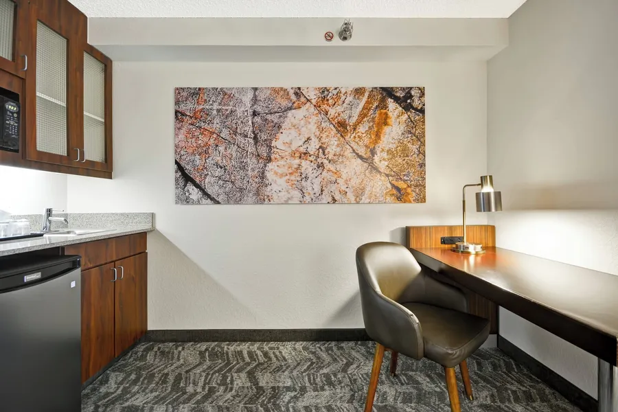 SpringHill Suites by Marriott San Antonio Medical Center/NW hotel detail image 6