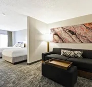 SpringHill Suites by Marriott San Antonio Medical Center/NW hotel detail image 7