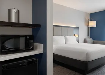 Holiday Inn Express & Suites Tampa East - Ybor City by IHG hotel thumbnail 5