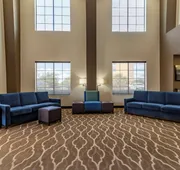 Comfort Suites Buda - Austin South hotel detail image 3