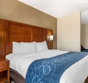 Comfort Suites Buda - Austin South hotel detail image 4