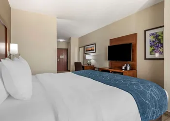 Comfort Suites Buda - Austin South hotel thumbnail 5