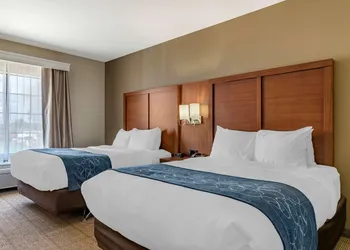 Comfort Suites Buda - Austin South hotel thumbnail 6
