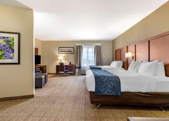 Comfort Suites Buda - Austin South hotel thumbnail 7