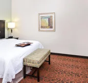 Hampton Inn Pecos hotel detail image 5