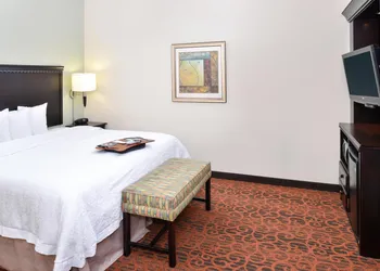 Hampton Inn Pecos hotel thumbnail 5