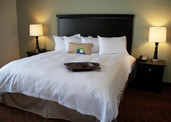 Hampton Inn Pecos hotel thumbnail 8