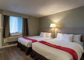 Ace Motel hotel thumbnail 7