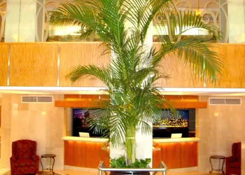 San Carlos Hotel hotel thumbnail 2