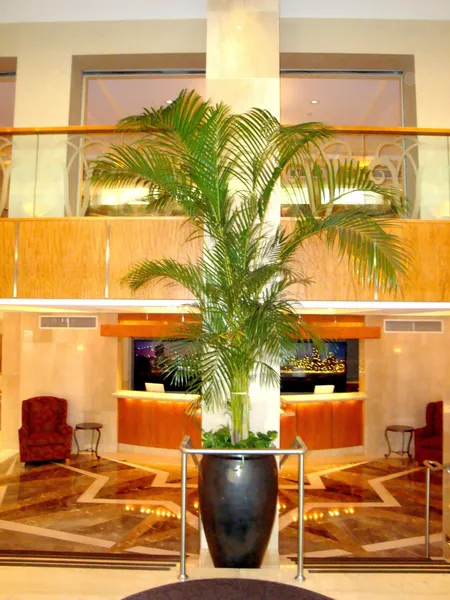 San Carlos Hotel hotel detail image 2