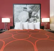 Super 8 by Wyndham Karnes City hotel detail image 7