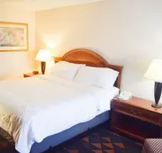 Holiday Inn Great Falls- Convention Center by IHG hotel detail image 7