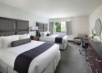 Maple Tree Inn hotel thumbnail 3