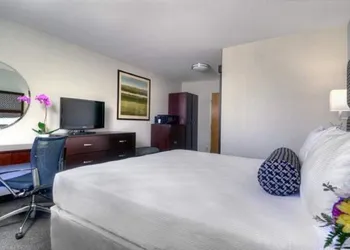 Maple Tree Inn hotel thumbnail 5