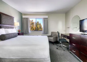 Maple Tree Inn hotel thumbnail 8