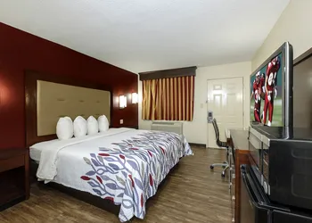Red Roof Inn Columbus, MS hotel thumbnail 5