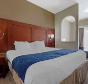 Comfort Suites Gainesville hotel detail image 4