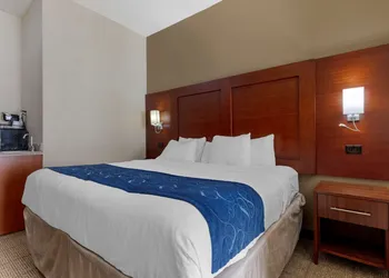 Comfort Suites Gainesville hotel thumbnail 6