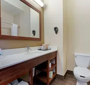 Comfort Suites Gainesville hotel detail image 7