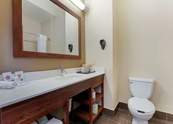 Comfort Suites Gainesville hotel thumbnail 7