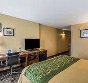 Comfort Inn & Suites Panama City North hotel detail image 5