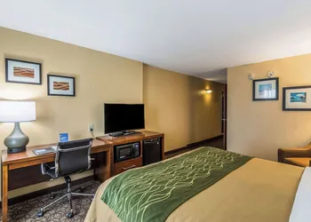 Comfort Inn & Suites Panama City North hotel thumbnail 5