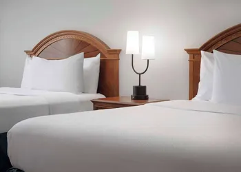 Hilton Garden Inn Gainesville hotel thumbnail 8