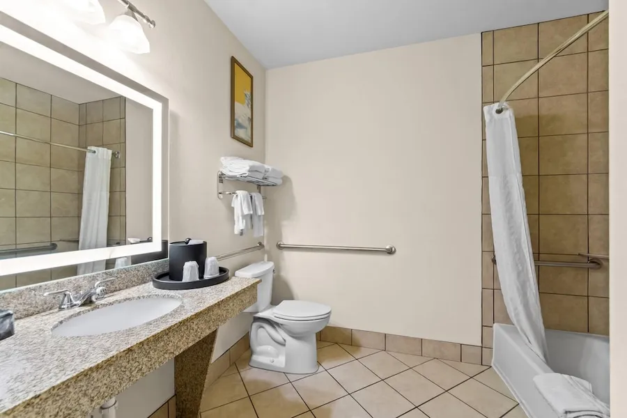 Comfort Suites San Antonio North - Stone Oak hotel detail image 6