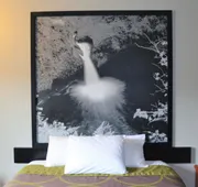 Super 8 by Wyndham Roseburg hotel detail image 5