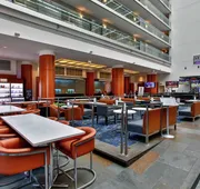 Embassy Suites by Hilton Chicago Downtown Magnificent Mile hotel detail image 3