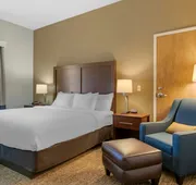 Comfort Inn Mechanicsburg - Harrisburg South hotel detail image 5