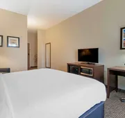 Comfort Inn Mechanicsburg - Harrisburg South hotel detail image 7